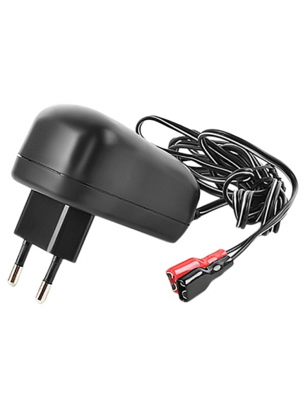 зарядное устройство для свинцовых аккумуляторов Robiton LAC12-200