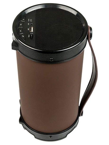 bluetooth колонка Dialog Progressive AP-1000 brown