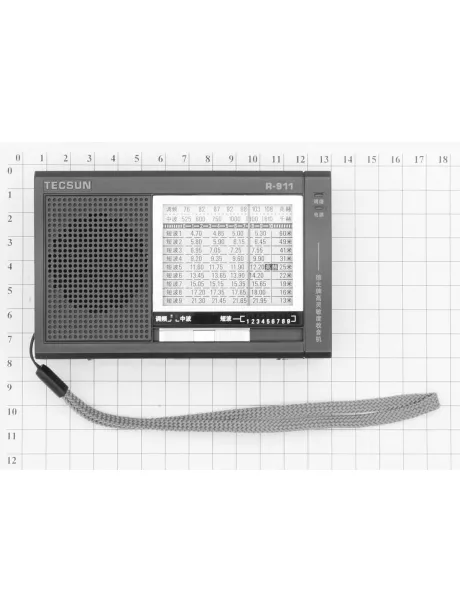 карманный мини радиоприемник Tecsun R-911 black