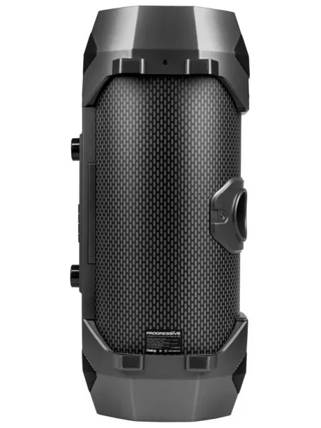 bluetooth колонка с караоке Dialog Progressive AP-1050 black