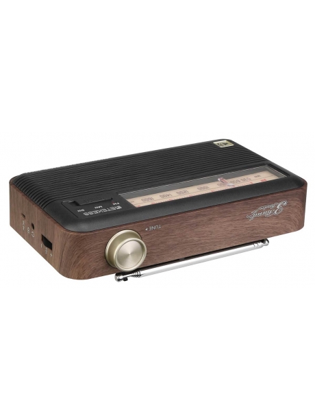 переносной ретро радиоприемник Retekess TR614 