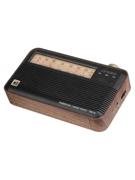 переносной ретро радиоприемник Retekess TR614 