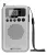 карманный цифровой радиоприемник Retekess TR106 silver